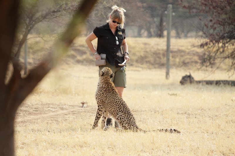 c_2015_08_27 07_10_22_524